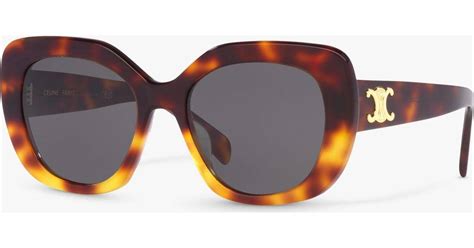 Celine 55 mm Havana Sunglasses 